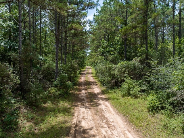 4 Benny Griffin Rd, Tx, TX 77351
