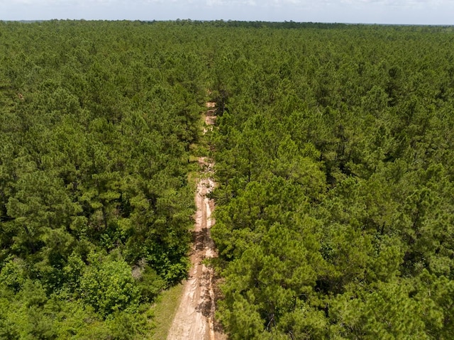 4 Benny Griffin Rd, Tx, TX 77351
