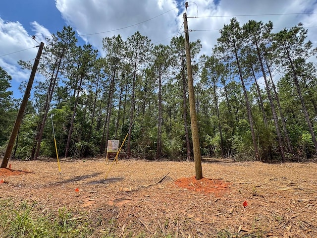 4 Benny Griffin Rd, Tx, TX 77351