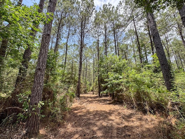 4 Benny Griffin Rd, Tx, TX 77351