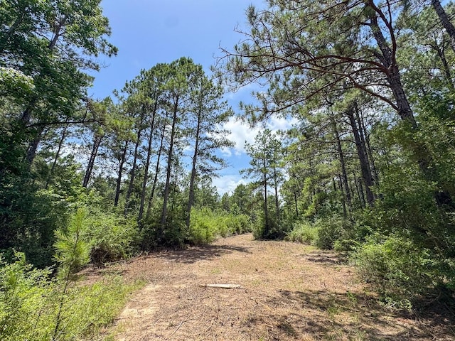 4 Benny Griffin Rd, Tx, TX 77351