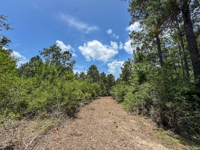 4 Benny Griffin Rd, Tx, TX 77351