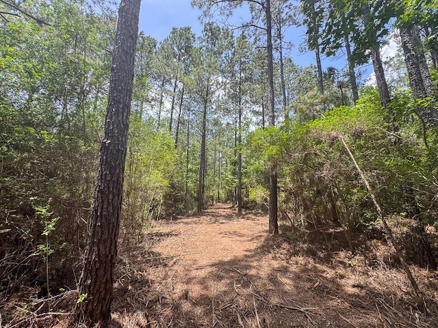 4 Benny Griffin Rd, Tx, TX 77351