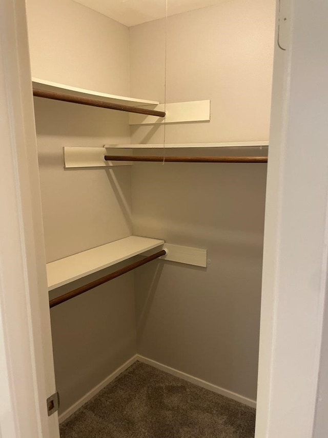 14207 Montaigne Dr, Cypress, TX 77429 - spacious closet with dark carpet