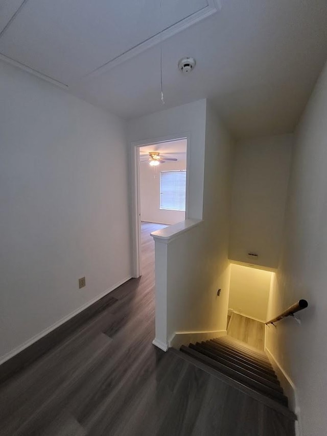 7649 Cambridge St Unit 7649, Houston, TX 77054 - photo 19