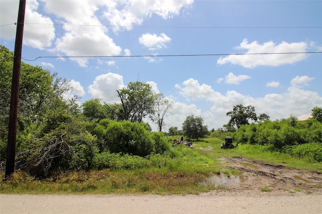 0 Judy St, Rosharon, TX 77583 - photo 7