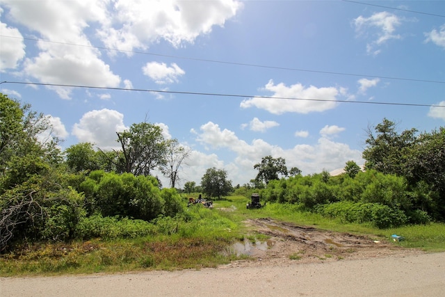 0 Judy St, Rosharon, TX 77583 - photo 8