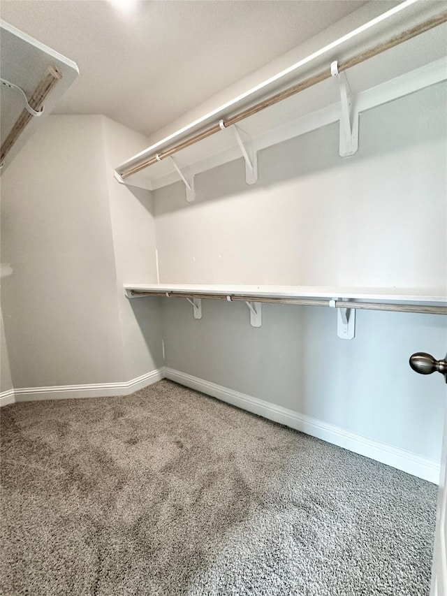 4301 Fenwick Rd, Texas City, TX 77591 - walk in closet featuring carpet flooring