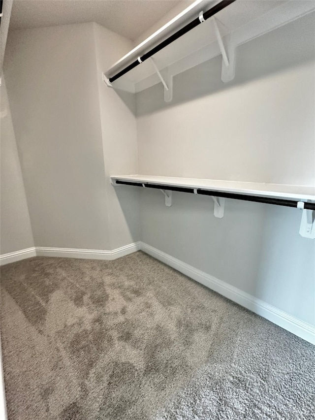 4301 Fenwick Rd, Texas City, TX 77591 - walk in closet featuring carpet