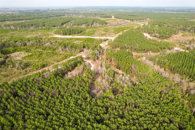 450 Williamson Way, Lovelady, TX 75851 - photo 13