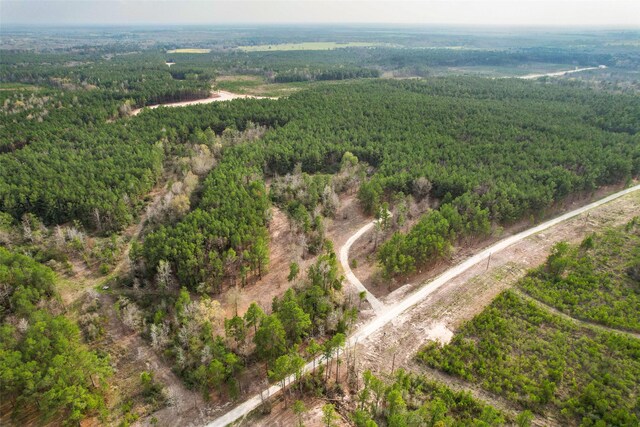 450 Williamson Way, Lovelady, TX 75851 - photo 15