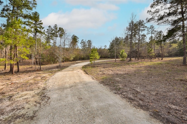 450 Williamson Way, Lovelady, TX 75851 - photo 22