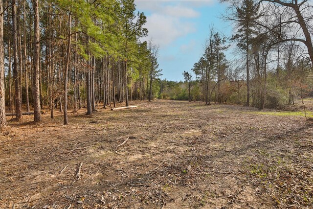 450 Williamson Way, Lovelady, TX 75851 - photo 23