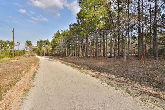 450 Williamson Way, Lovelady, TX 75851 - photo 24