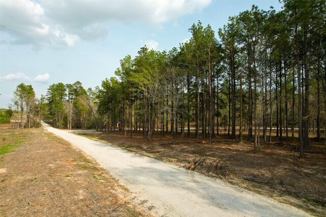 450 Williamson Way, Lovelady, TX 75851 - photo 6