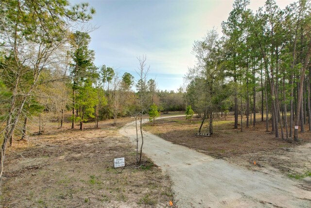 450 Williamson Way, Lovelady, TX 75851 - photo 7