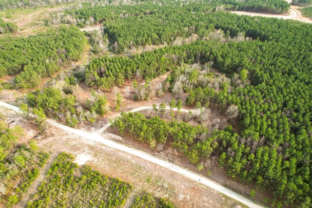 450 Williamson Way, Lovelady, TX 75851 - photo 10