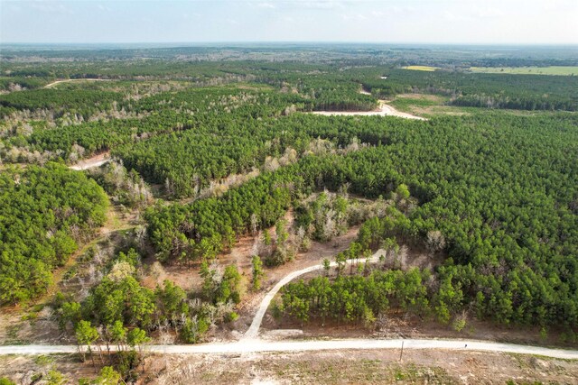 450 Williamson Way, Lovelady, TX 75851 - photo 17