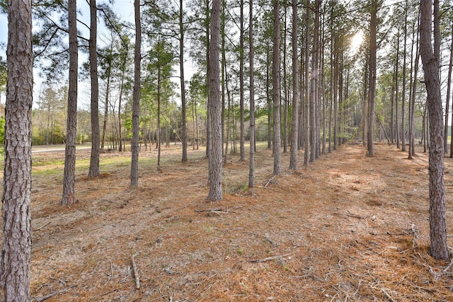450 Williamson Way, Lovelady, TX 75851 - photo 19