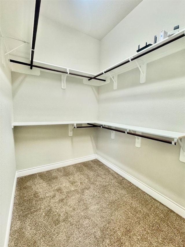 29018 Pinnacle Ridge Dr, Katy, TX 77494 - walk in closet with carpet