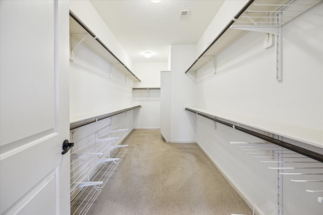 1124 W 24th St Unit B, Houston, TX 77008 - walk in closet featuring light colored carpet