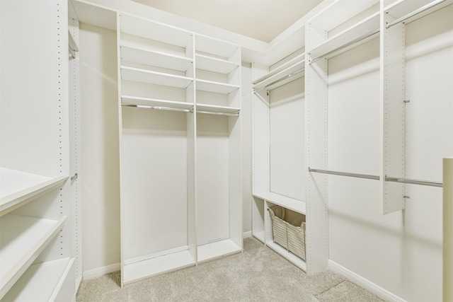 8006 Sports Haven Dr, Humble, TX 77346 - walk in closet with light carpet