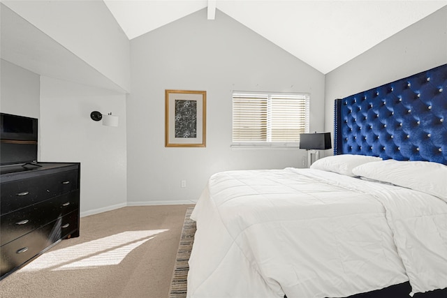 8727 Vinkins Rd, Houston, TX 77071 - bedroom featuring carpet flooring and high vaulted ceiling