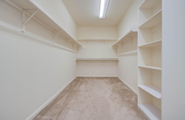 11704 Shoal Lndg, Pearland, TX 77584 - walk in closet featuring carpet floors