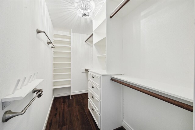 8410 Western Dr, Houston, TX 77055 - photo 20