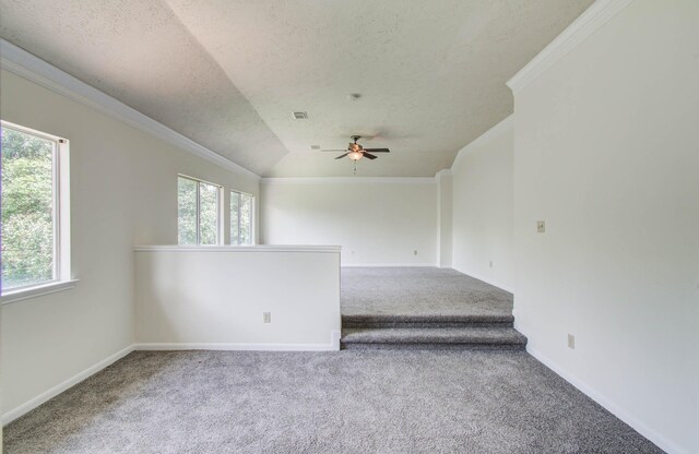 3746 Havenmoor Pl, Katy, TX 77449 - photo 20