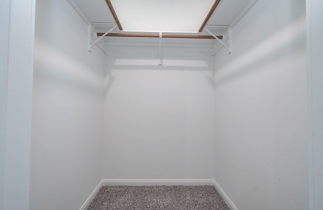 12407 Big Oaks Dr, Houston, TX 77050 - spacious closet with carpet