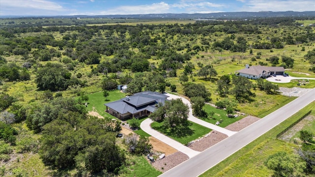 405 Spicewood Trails Dr, Spicewood, TX 78669 - photo 25