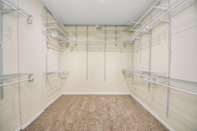 6902 Sterling Meadow Dr, Katy, TX 77449 - spacious closet with carpet floors
