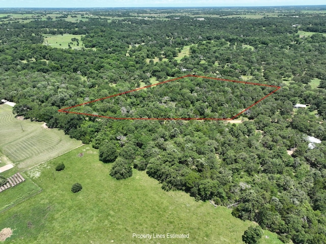 0001 Schoenau Rd, Brenham, TX 77833 - photo 1