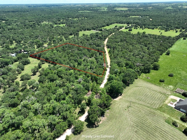 0001 Schoenau Rd, Brenham, TX 77833 - photo 6