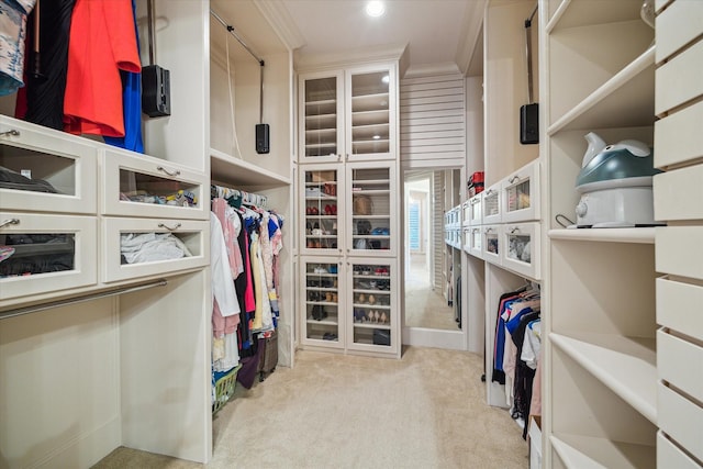 6 Kings Lake Estates Blvd, Kingwood, TX 77346 - walk in closet with carpet floors