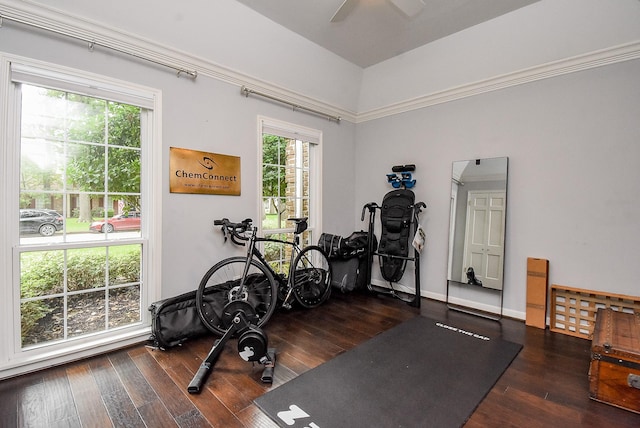 327 Cinnamon Oak Ln, Houston, TX 77079 - workout room featuring hardwood / wood-style flooring, healthy amount of natural light, and a ceiling fan