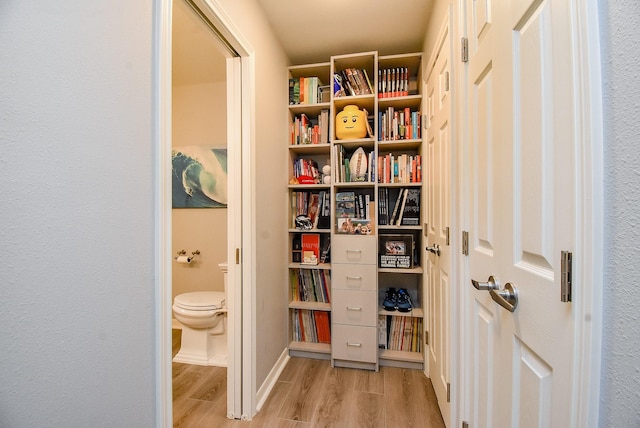 327 Cinnamon Oak Ln, Houston, TX 77079 - view of pantry