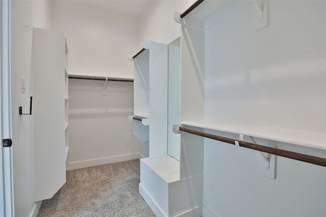 24526 Bluestar Blossom Trl, Katy, TX 77493 - spacious closet with carpet flooring