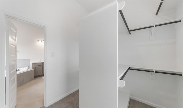 2016 Windsor Meadow Trce, Houston, TX 77051 - walk in closet featuring light colored carpet