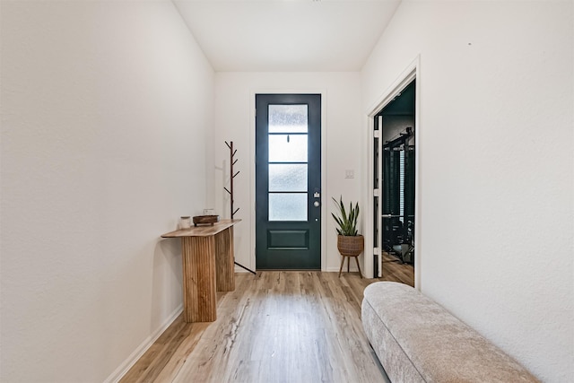 19911 Paros Island Dr, Hockley, TX 77447 - doorway featuring light wood-style flooring