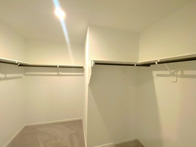 21015 Longeni Dr, New Caney, TX 77357 - spacious closet featuring carpet floors