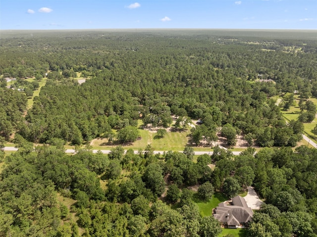 27938 Deer Run St, Montgomery, TX 77356 - view of property location with a heavily wooded area