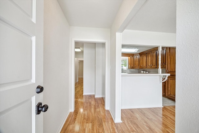 3006 Hartwick Rd, Houston, TX 77093 - kitchen featuring brown cabinets, light wood-style flooring, and light countertops
