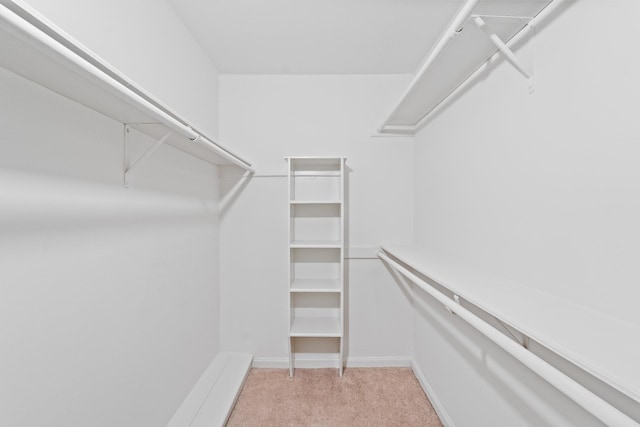 11826 Bandlon Dr, Houston, TX 77072 - walk in closet featuring light carpet