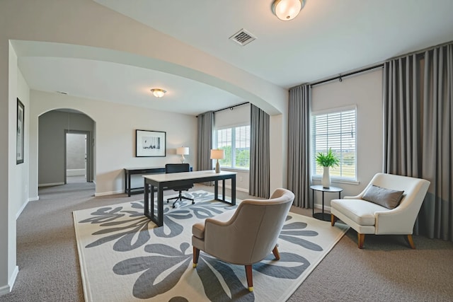 915 Lakeland Cir, Rosharon, TX 77583 - office space featuring arched walkways and light carpet