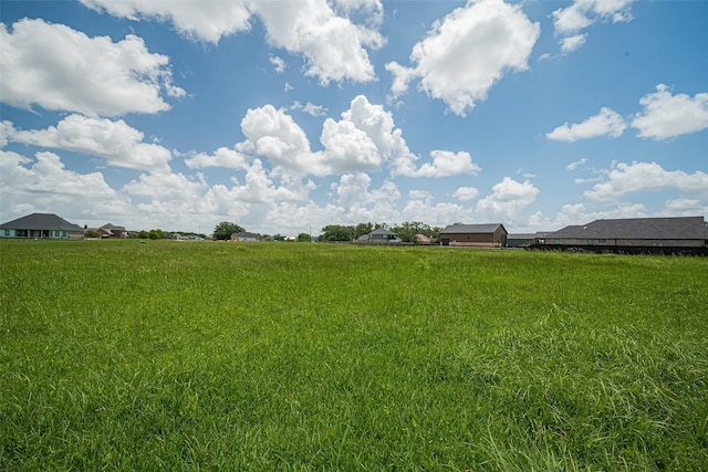 915 Lakeland Cir, Rosharon, TX 77583 - view of grassy yard