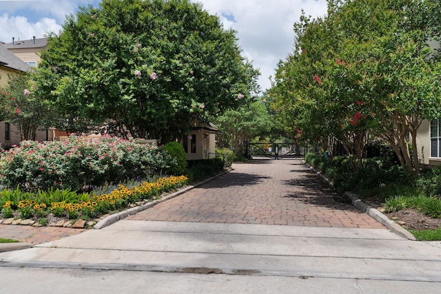 9103 Creekstone Lake Dr, Houston, TX 77054 - view of street featuring a gate