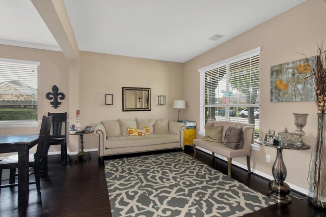 3215 W Trail Dr, Pearland, TX 77584 - living area featuring wood-type flooring and plenty of natural light
