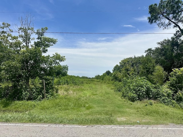 13514 Sralla Rd, Crosby, TX 77532 - photo 2